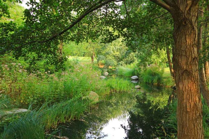 Britzer Garten Entspannt durch das herbstliche Berlin