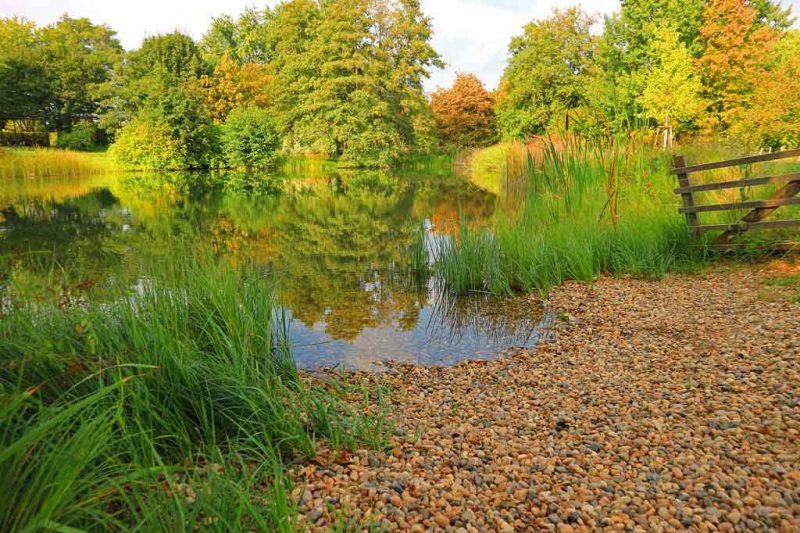 Britzer Garten Entspannt durch das herbstliche Berlin